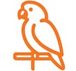 bird icon.