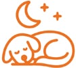 sleeping dog.