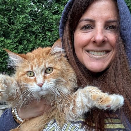 Bergen Co. NJ cat sitter with Maine Coon.