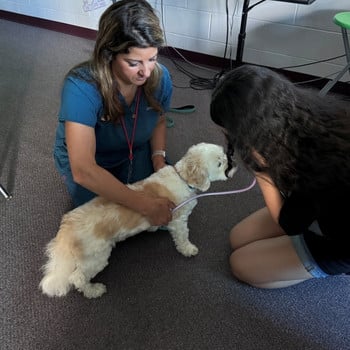 Christen and dog Barkley at school Christen and small dog named Barkley from Red Dog Rescue.