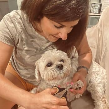 trimming a dog's nails.